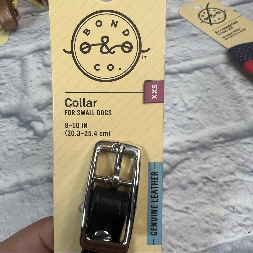 Teal dog collar size extra extra small
